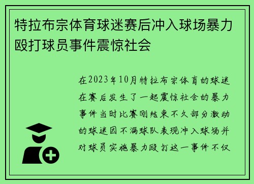 特拉布宗体育球迷赛后冲入球场暴力殴打球员事件震惊社会 特拉布宗体育球迷赛后冲入球场暴力殴打球员事件震惊社会