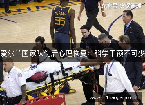 爱尔兰国家队伤后心理恢复:科学干预不可少 爱尔兰国家队伤后心理恢复:科学干预不可少